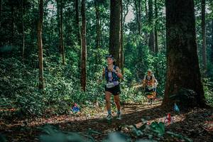 BIB: 
                            <button type="button" onclick="openModal(26133206)" class="btn btn-primary btn-sm float-right btn-popup" data-toggle="modal" data-target=".modal-high-quality">
                        <i class="fas fa-shopping-cart"></i> Add to Cart
                    </button>
                                            <button type="button" onclick="isThisMe(26133206, true)" class="btn btn-success btn-sm float-right btn-popup btn-isme hidden" data-toggle="tooltip" data-placement="bottom" title="นี่คือรูปของคุณใช่ไหม คลิกที่นี่เพื่อเอาเข้าอัลบั้ม">
                        <i class="fas fa-plus"></i> Add to album
                    </button>
                    <button type="button" onclick="isThisMe(26133206, false)" class="btn btn-warning btn-sm float-right btn-popup btn-isnotme hidden">
                        <i class="fas fa-ban"></i> Remove from album
                    </button>